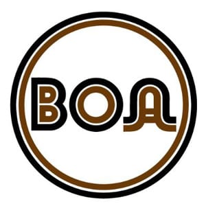 Boa Construction Inc
