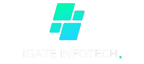 IGATE INFOTECH LLC