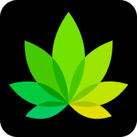 IndicaOnline