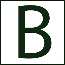 Bridger Design + Build